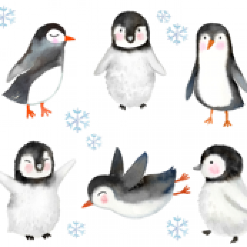 Motif Pingouin